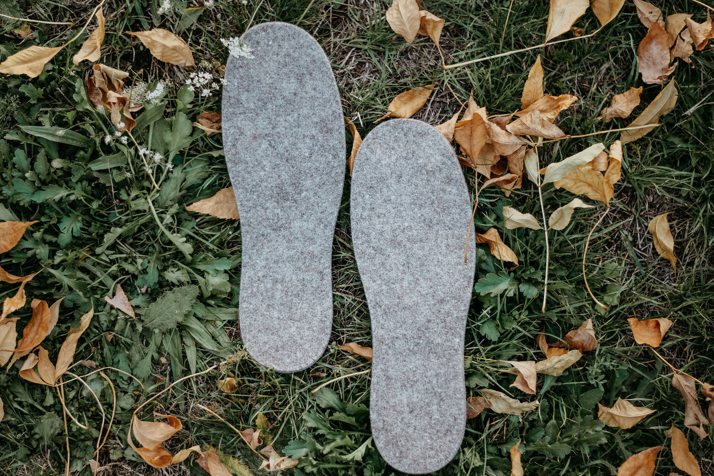 Felted Alpaca & Merino Wool Insoles