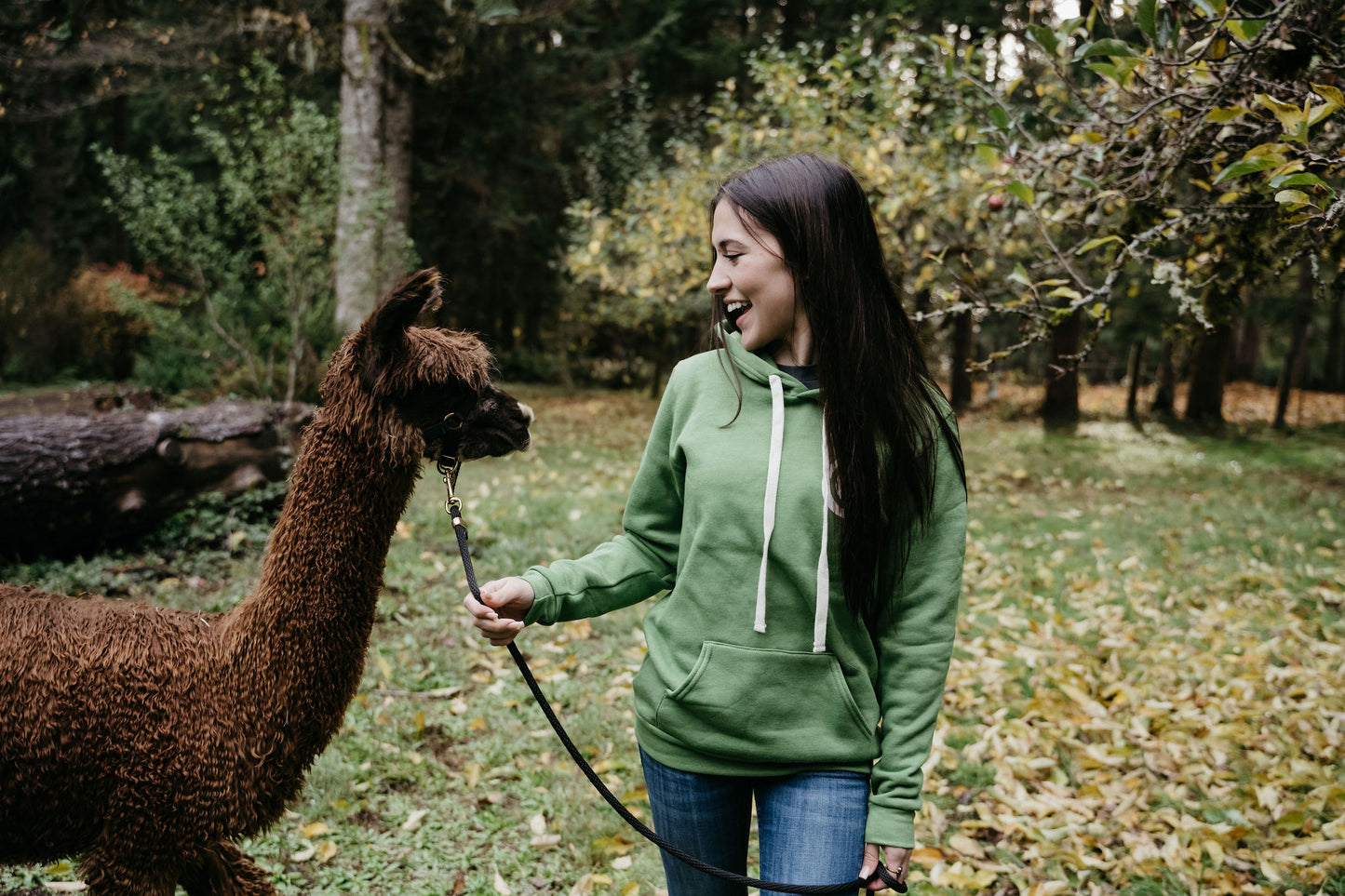 Alpaca Education: A Journey of Learning and Interaction